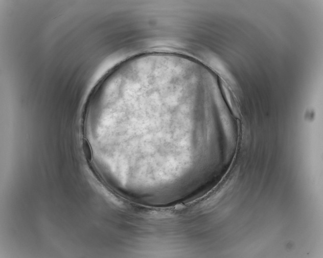 X0000090781384200708172119