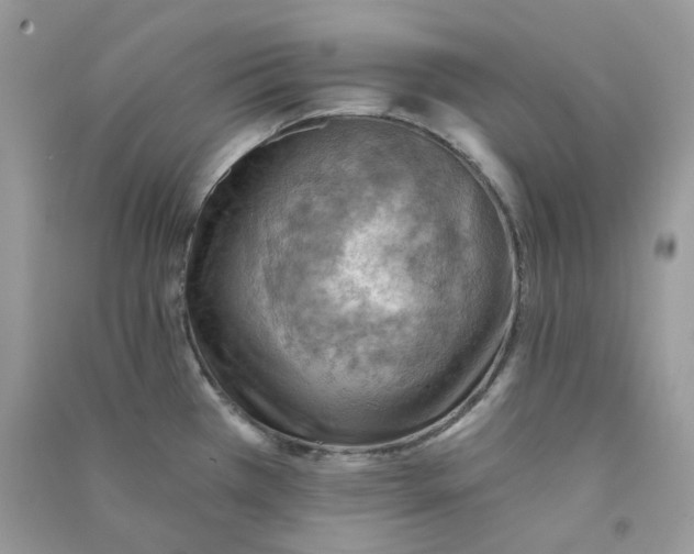 X0000090781385200708172119