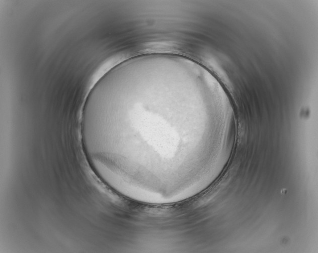 X0000090781386200708172119