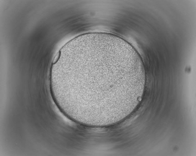 X0000090781387200708172119