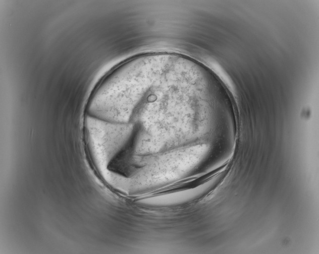 X0000090781388200708172119