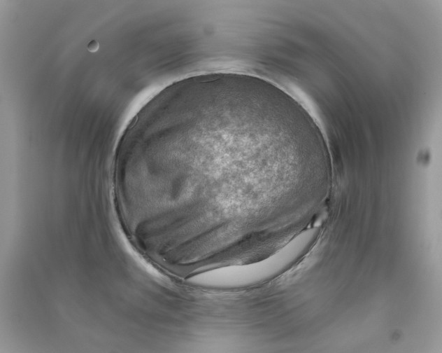 X0000090781389200708172119