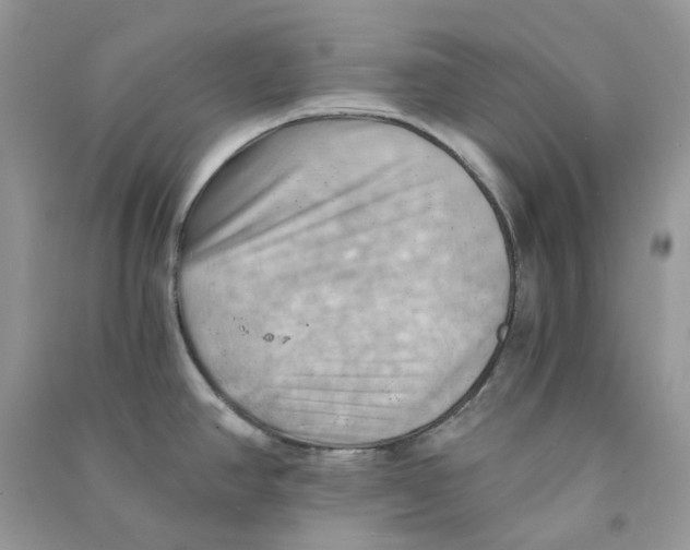 X0000090781390200708172119