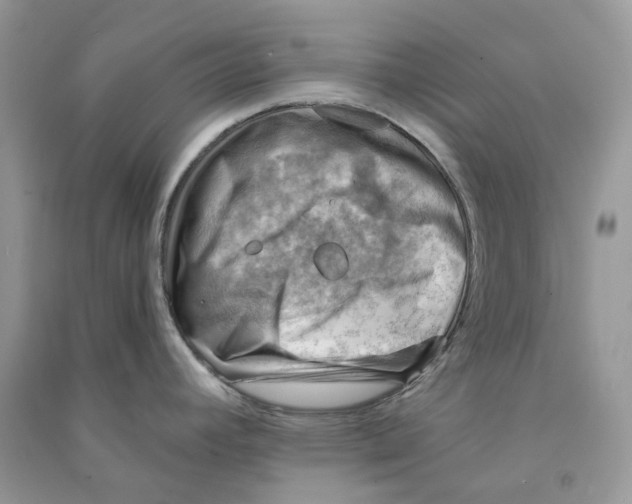 X0000090781392200708172119