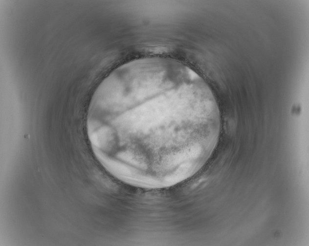 X0000090781393200708172118