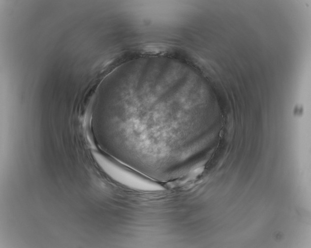 X0000090781394200708172118
