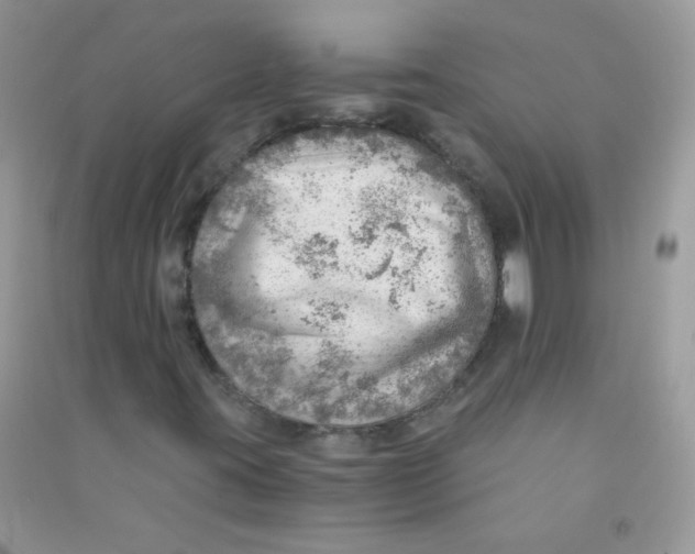 X0000090781395200708172118
