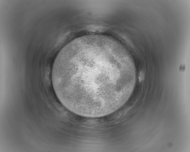 X0000090781396200708172118