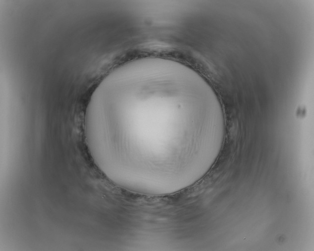 X0000090781397200708172118
