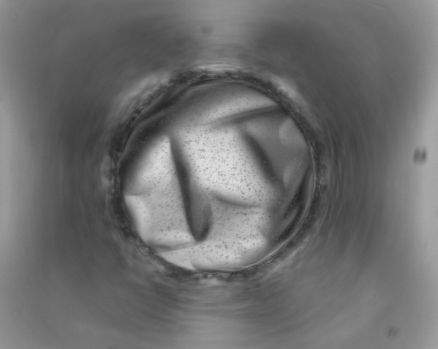 X0000090781398200708172118