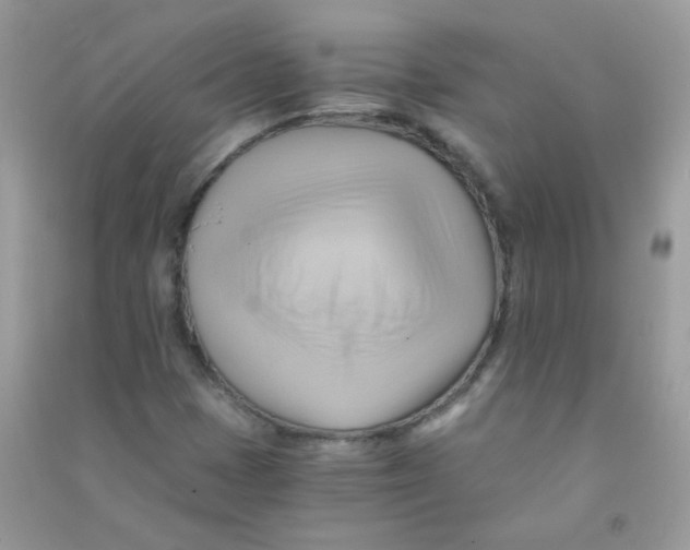X0000090781401200708172118