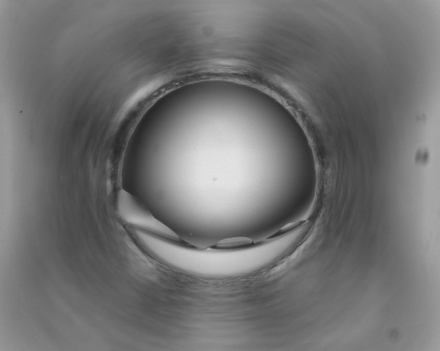 X0000090781402200708172119