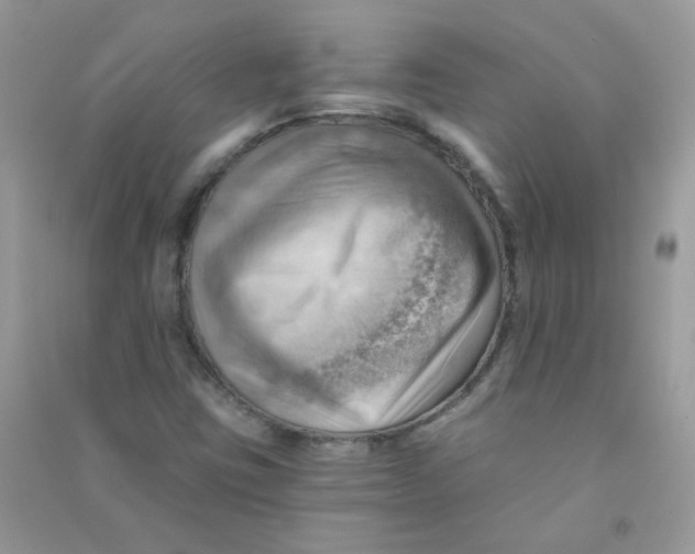 X0000090781403200708172119