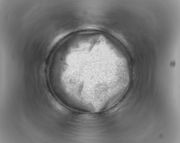 X0000090781404200708172119