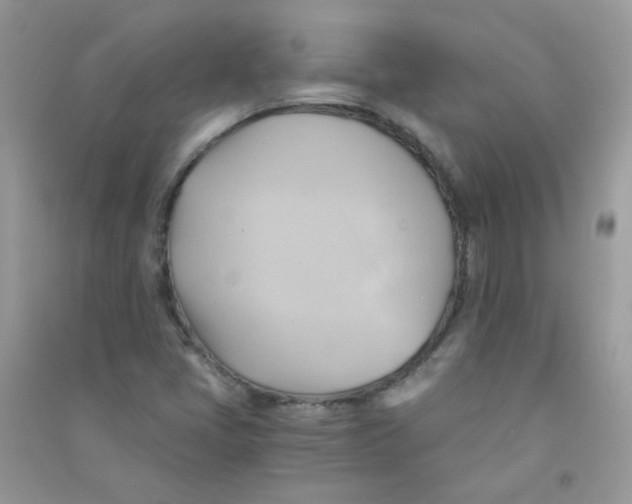 X0000090781405200708172119