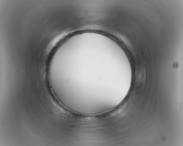 X0000090781406200708172119