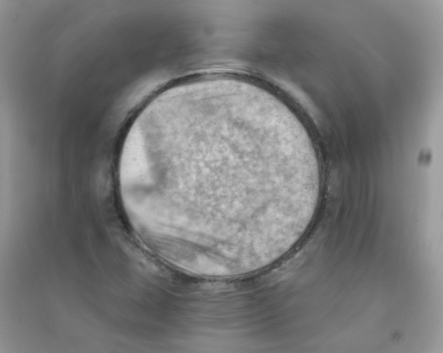 X0000090781407200708172119