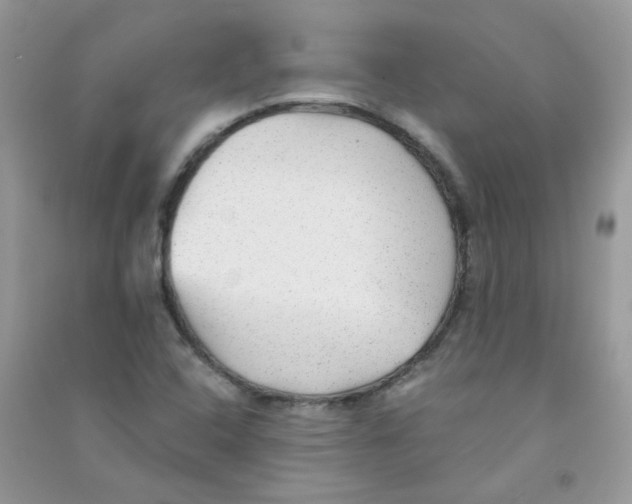 X0000090781408200708172119