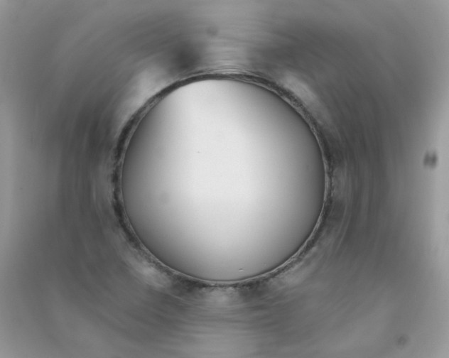 X0000090781410200708172119