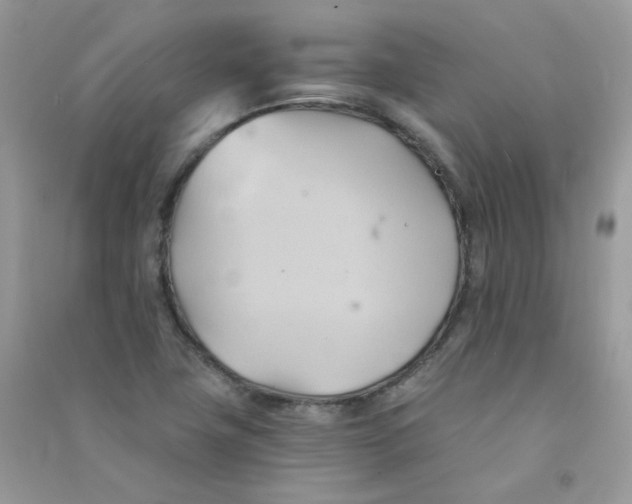 X0000090781411200708172119
