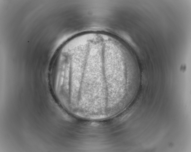 X0000090781412200708172119