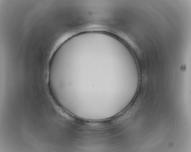 X0000090781413200708172119