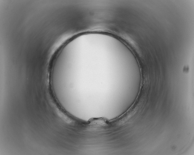 X0000090781414200708172119
