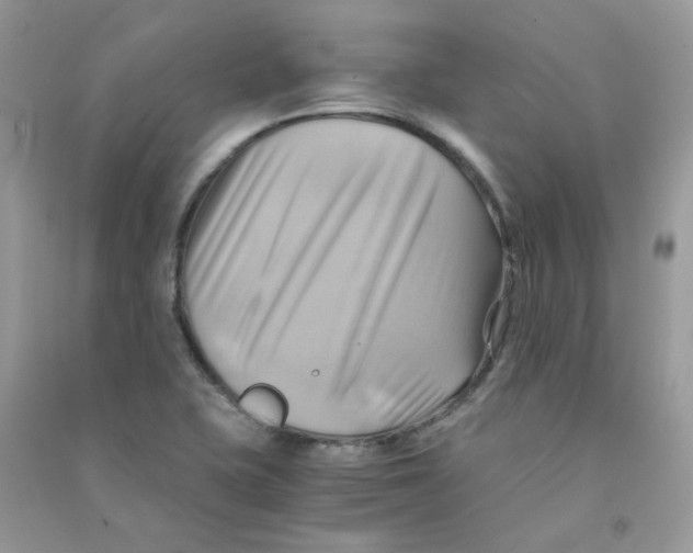 X0000090781415200708172119