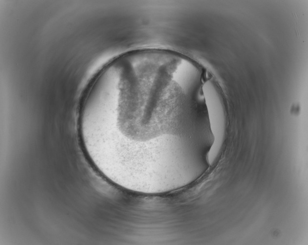 X0000090781416200708172119