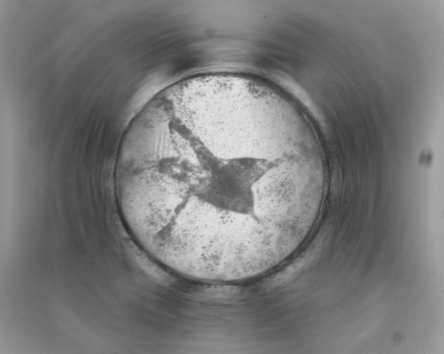 X0000090781417200708172119
