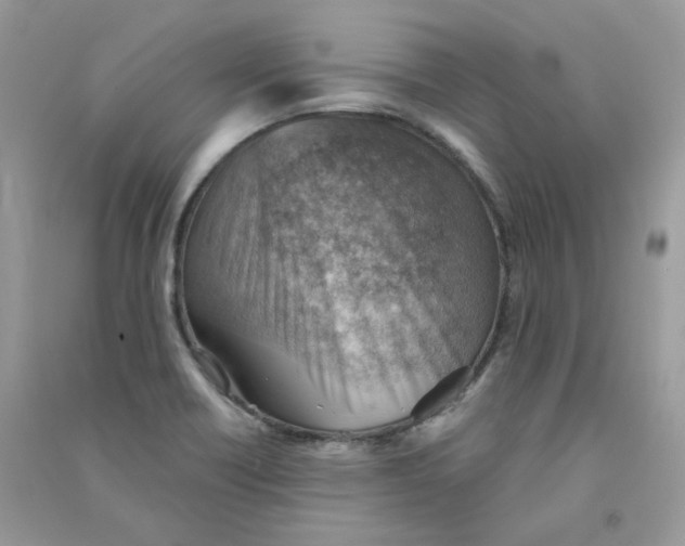 X0000090781418200708172119