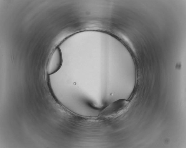 X0000090781419200708172119