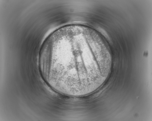 X0000090781420200708172119