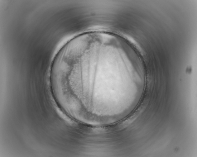 X0000090781421200708172119