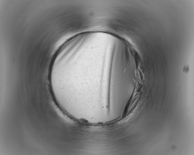 X0000090781422200708172119