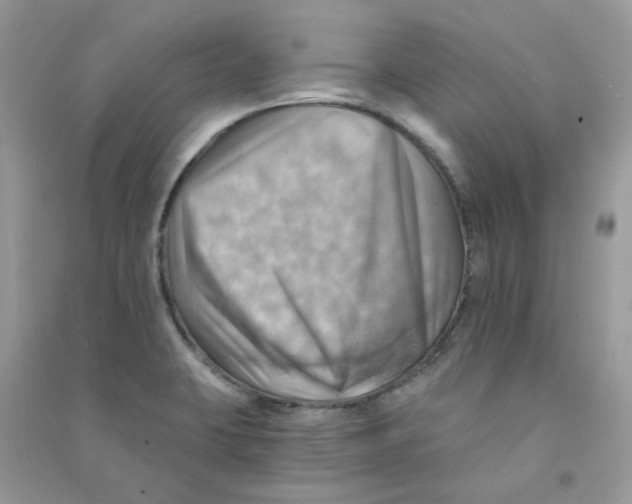 X0000090781423200708172119
