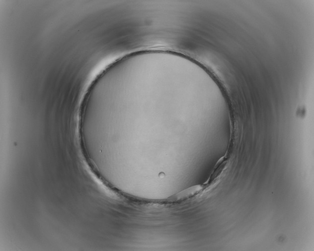 X0000090781424200708172119