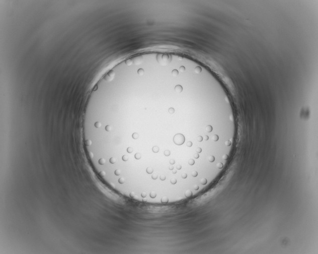 X0000090781425200708172119