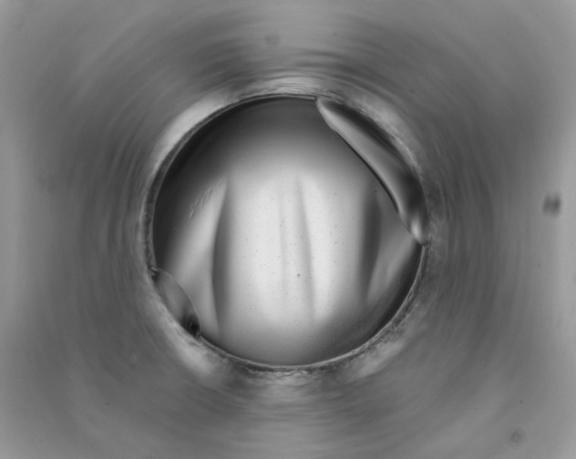 X0000090781426200708172119