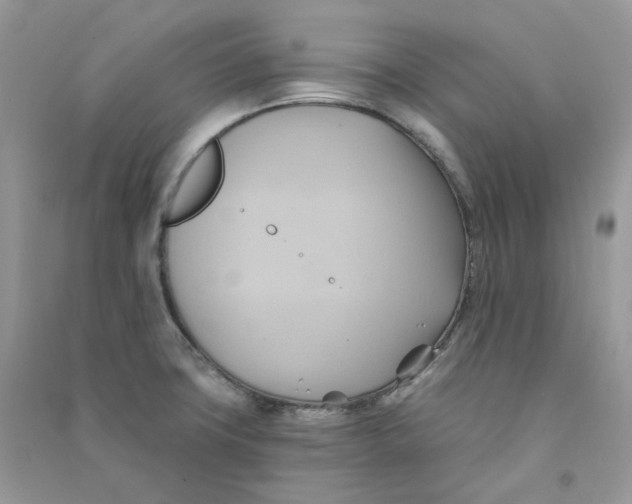 X0000090781427200708172119