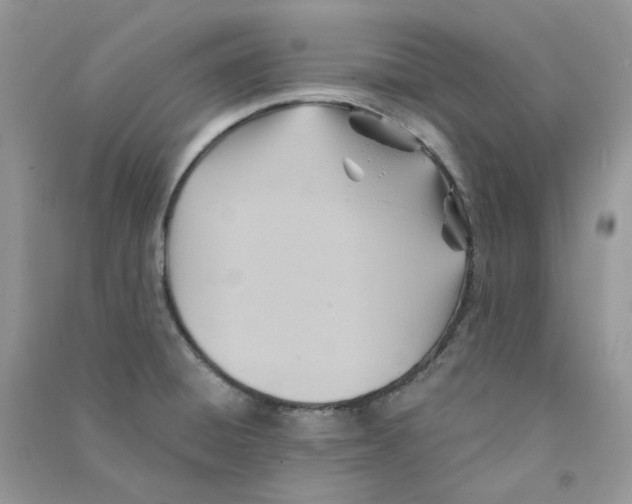 X0000090781428200708172119