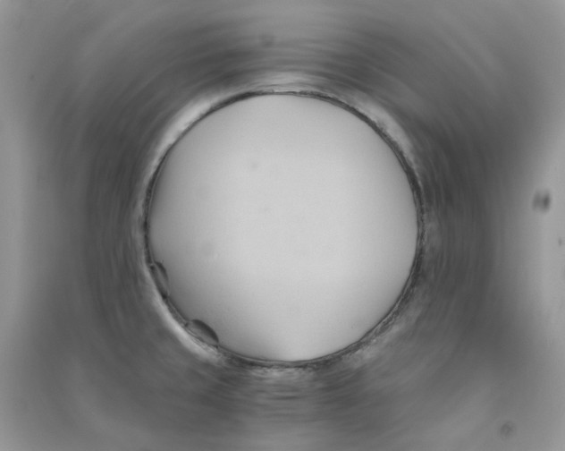 X0000090781429200708172119