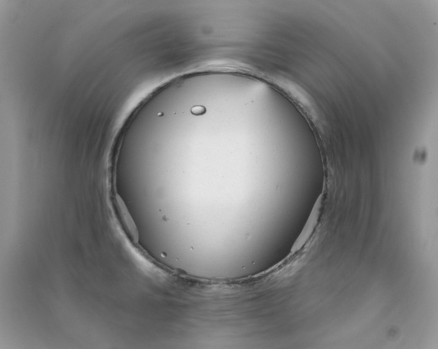 X0000090781430200708172119