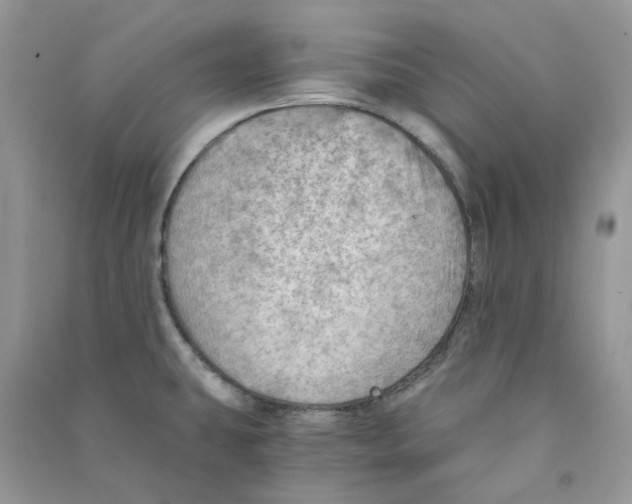 X0000090781431200708172119