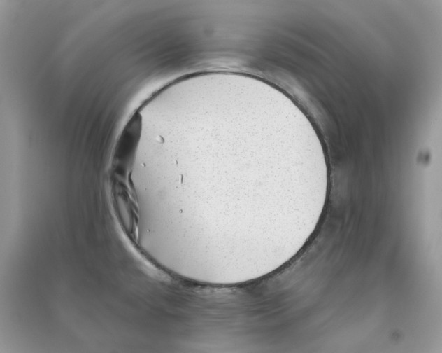 X0000090781432200708172119