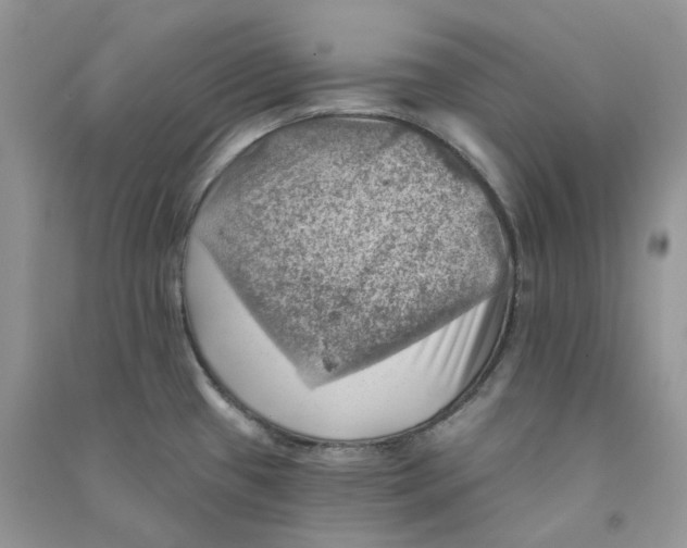 X0000090781433200708172119