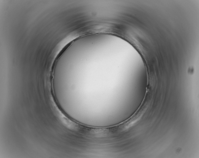 X0000090781434200708172119