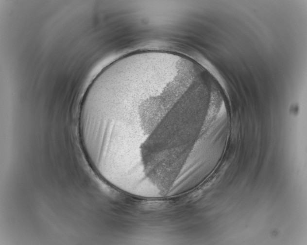 X0000090781437200708172119
