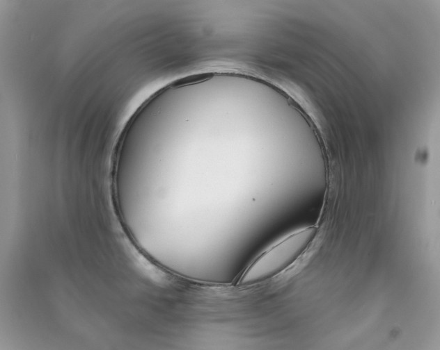 X0000090781438200708172119