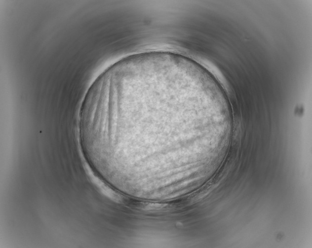 X0000090781439200708172119